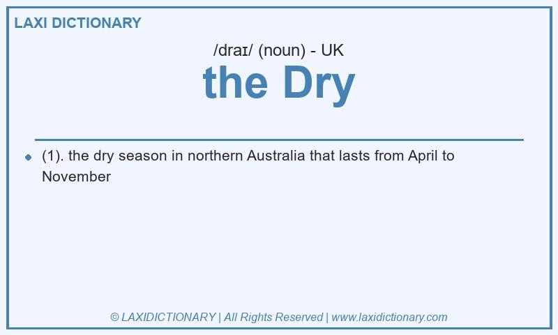 Definition the Dry in British English