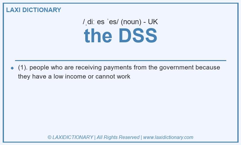 Definition the DSS in British English