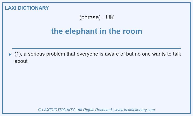 Definition the elephant in the room in British English