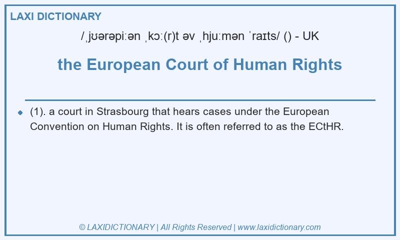 Definition the European Court of Human Rights in British English