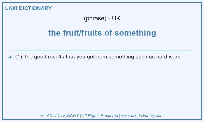 Definition the fruit/fruits of something in British English