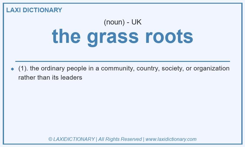 Definition the grass roots in British English
