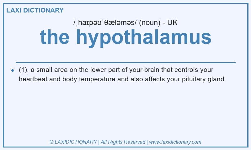 Definition the hypothalamus in British English