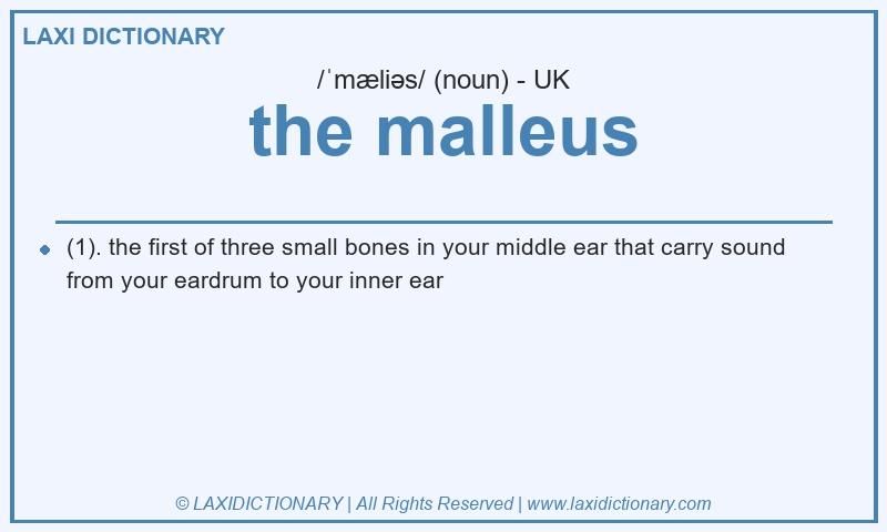 Definition the malleus in British English