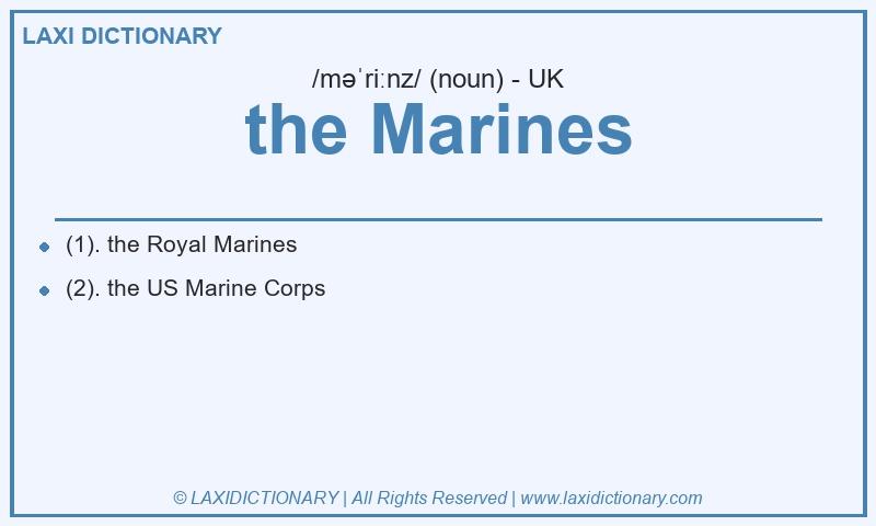 Definition the Marines in British English