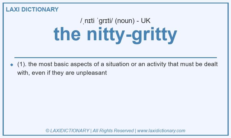 Definition the nitty-gritty in British English