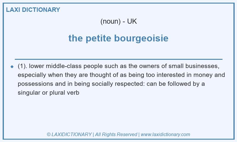 Definition the petite bourgeoisie in British English