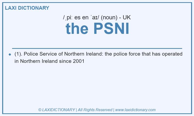 Definition the PSNI in British English