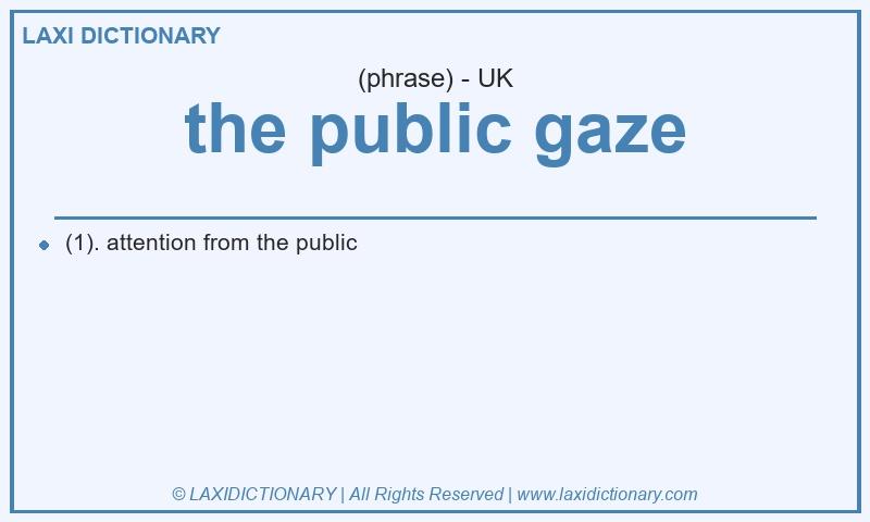 Definition the public gaze in British English