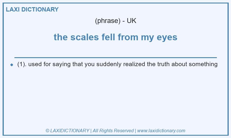 Definition the scales fell from my eyes in British English