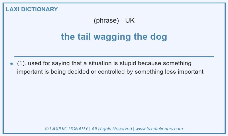 Definition the tail wagging the dog in British English