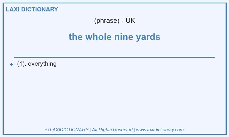 Definition the whole nine yards in British English