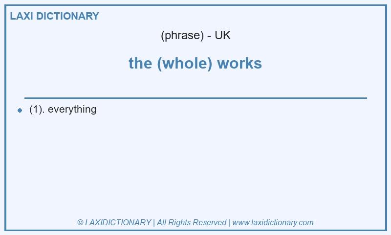 Definition the (whole) works in British English
