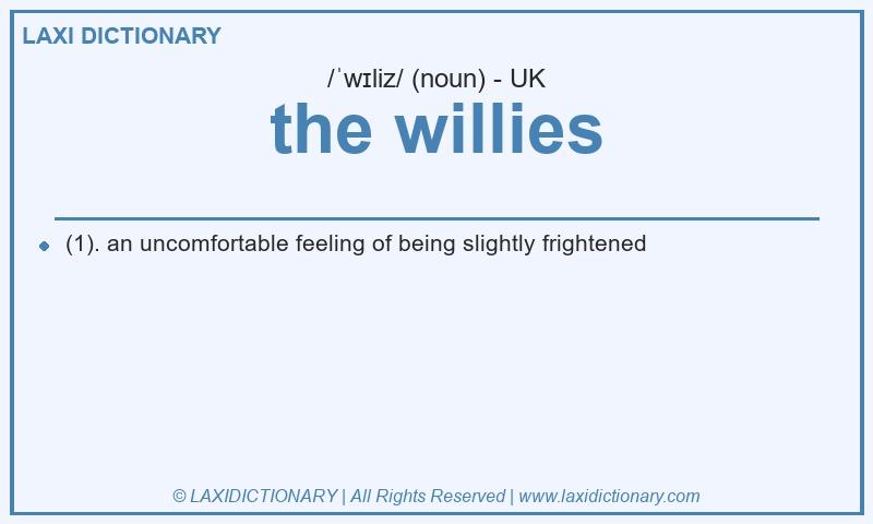 Definition the willies in British English