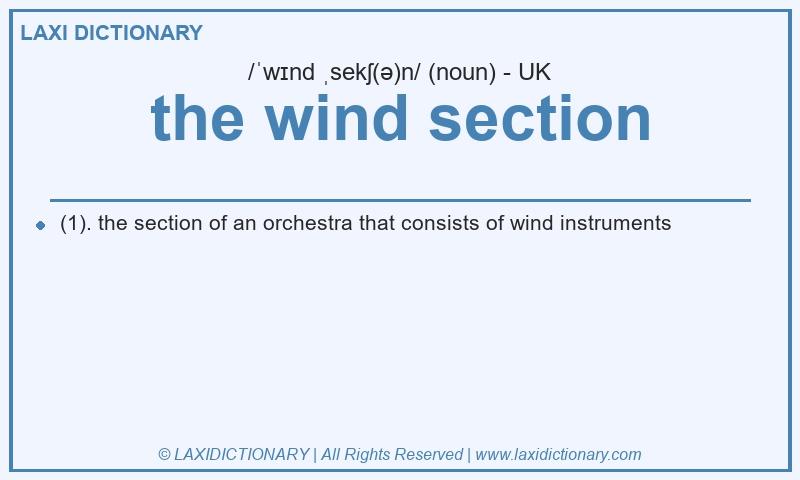 Definition the wind section in British English