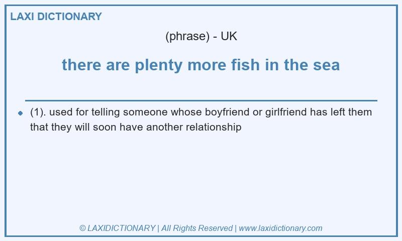 Definition there are plenty more fish in the sea in British English