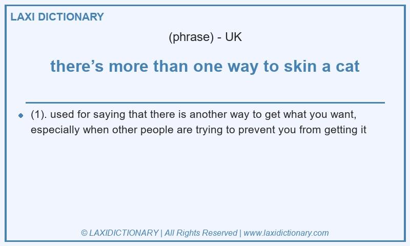 Definition there’s more than one way to skin a cat in British English