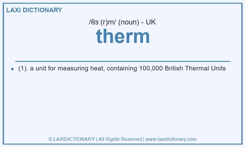Definition therm in British English