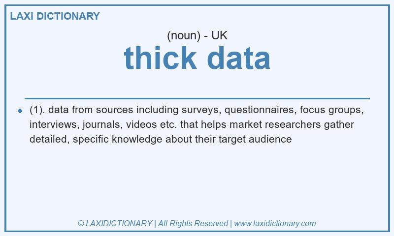 Definition thick data in British English