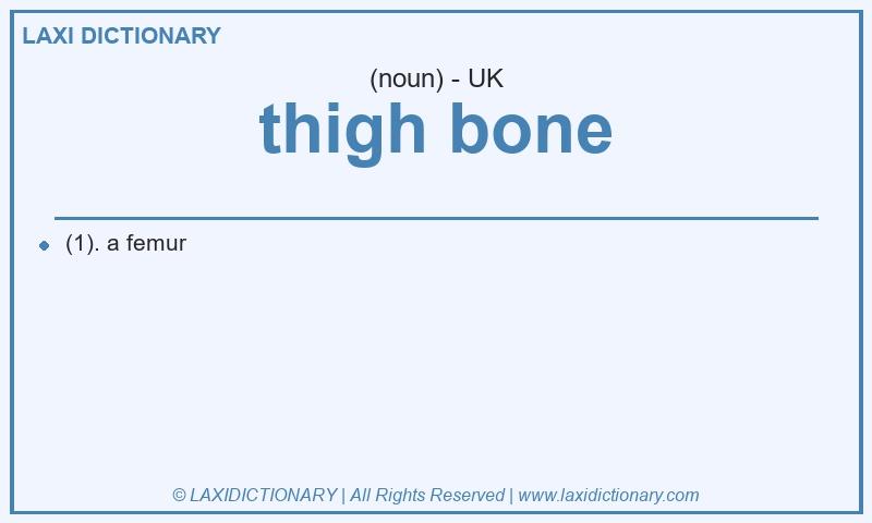 Definition thigh bone in British English