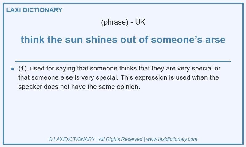 Definition think the sun shines out of someone’s arse in British English