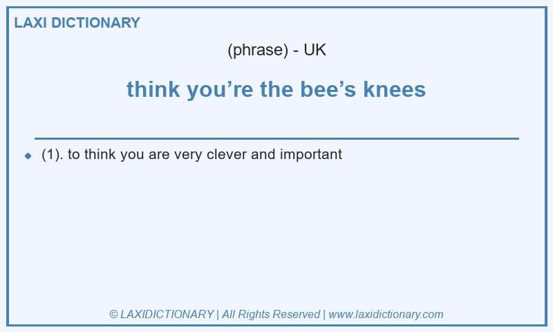 Definition think you’re the bee’s knees in British English