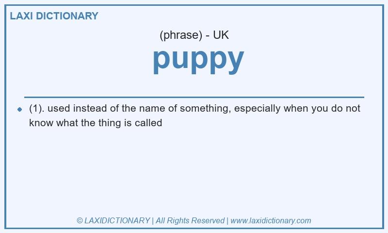 Definition  puppy in British English