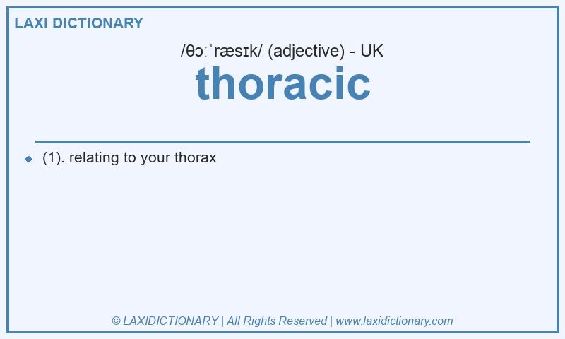 Definition thoracic in British English