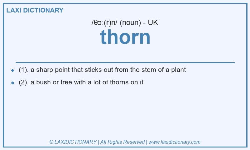 Definition thorn in British English