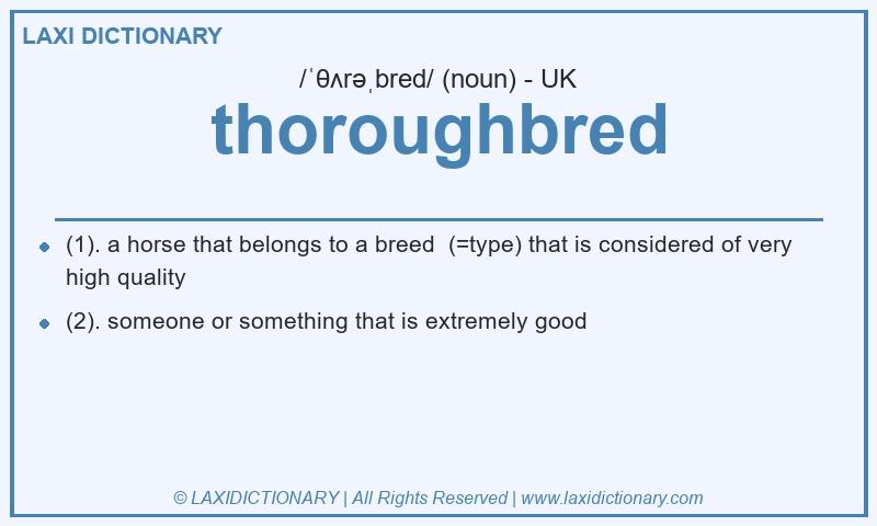 Definition thoroughbred in British English