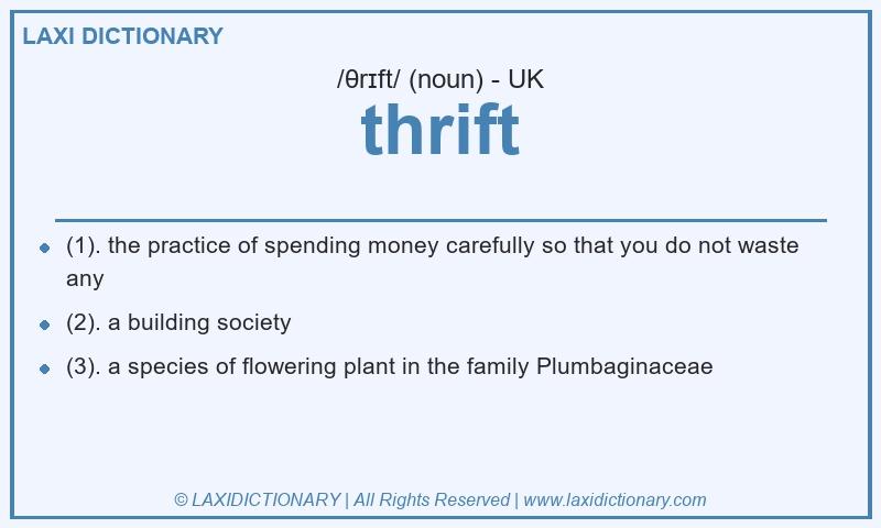 Definition thrift in British English