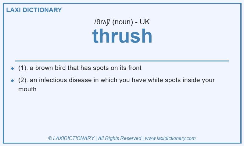 Definition thrush in British English