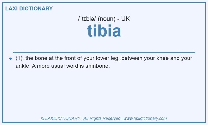 Definition tibia in British English