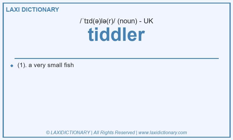 Definition tiddler in British English