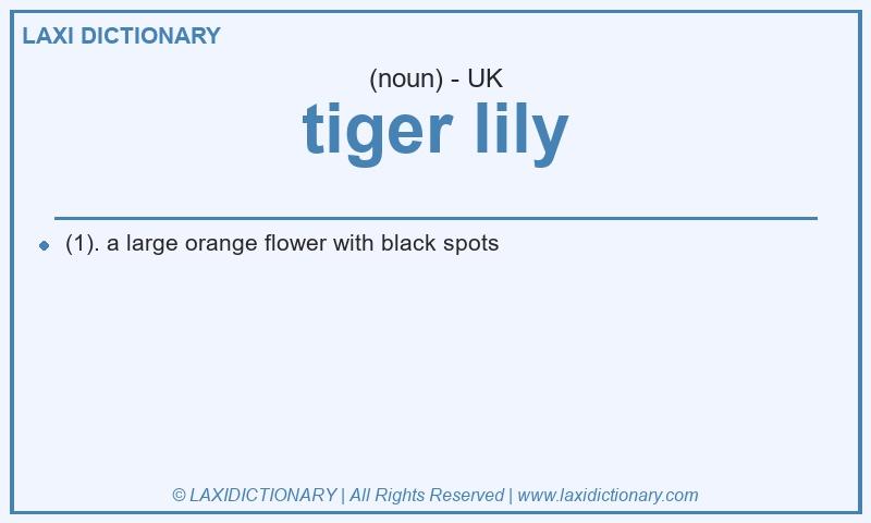 Definition tiger lily in British English