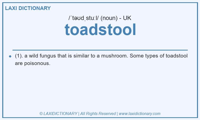 Definition toadstool in British English