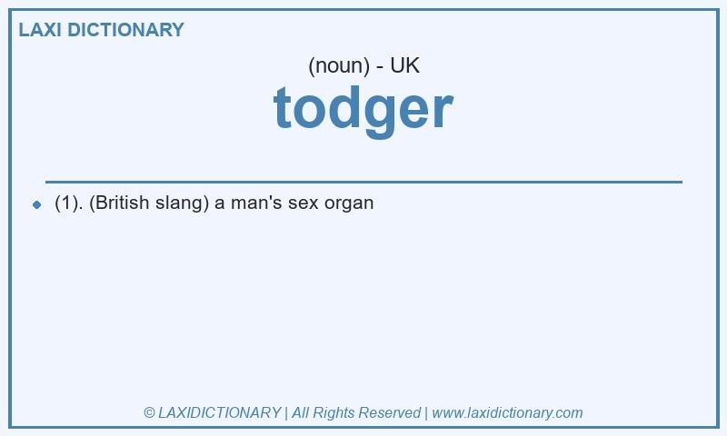Definition todger in British English