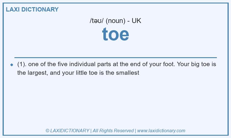 Definition toe in British English