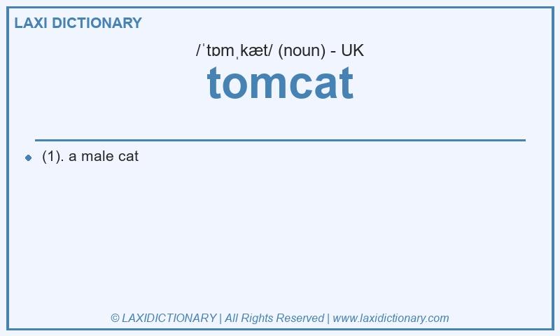 Definition tomcat in British English