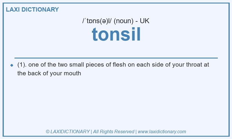 Definition tonsil in British English