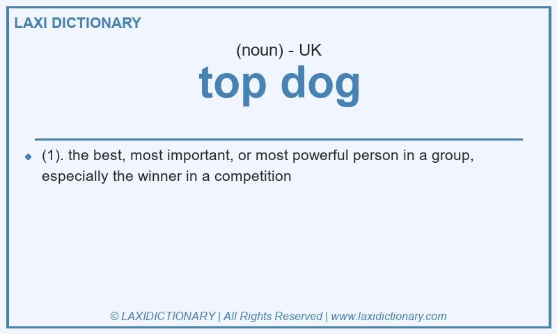 Definition top dog in British English