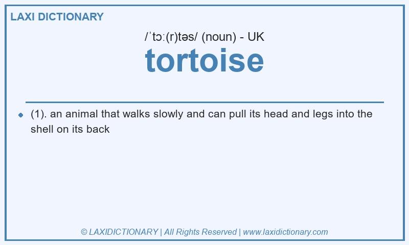Definition tortoise in British English