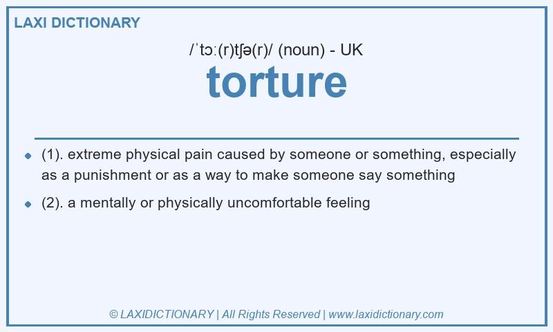 Definition torture in British English