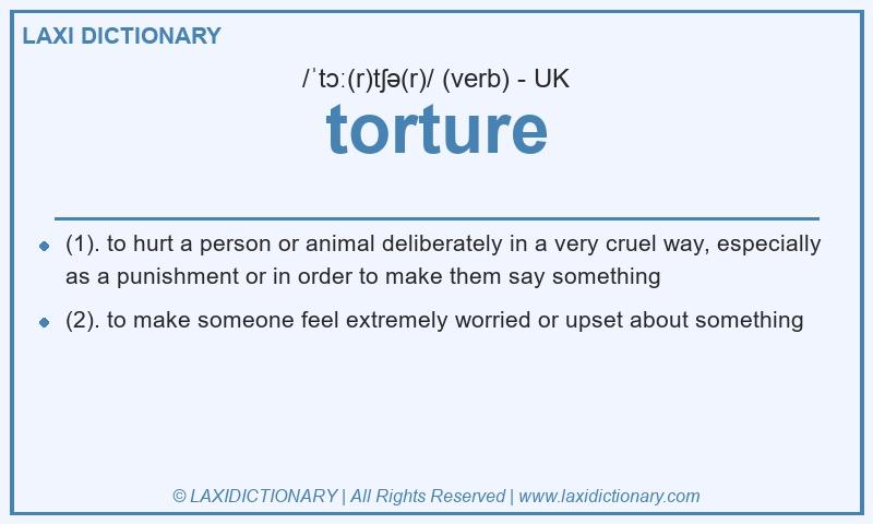 Definition torture in British English