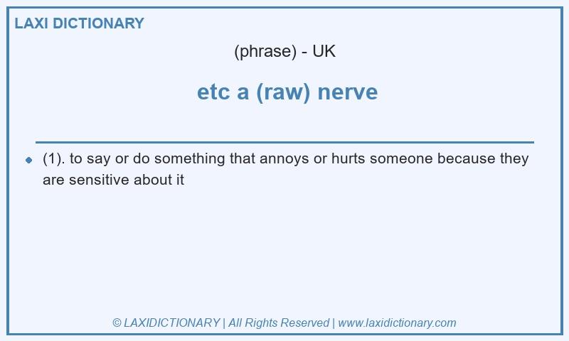 Definition  etc a (raw) nerve in British English