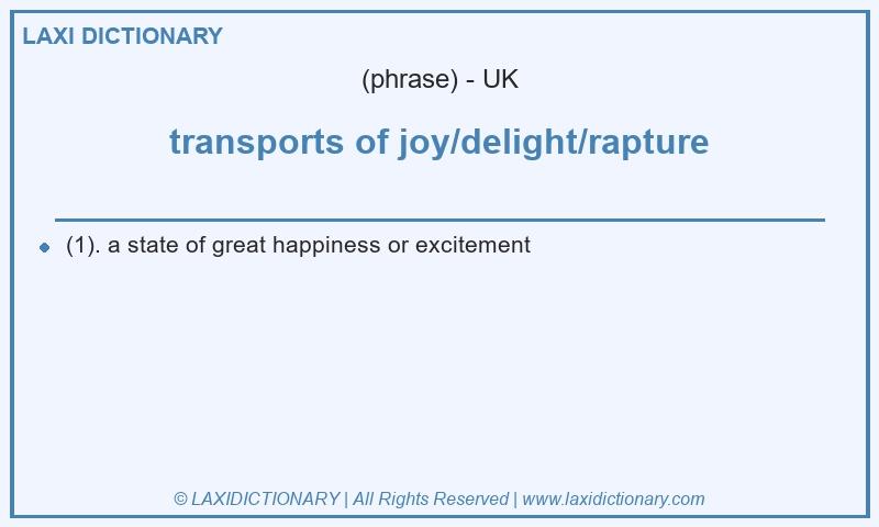 Definition transports of joy/delight/rapture in British English