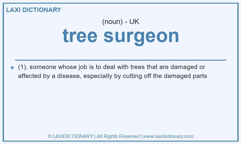 Definition tree surgeon in British English
