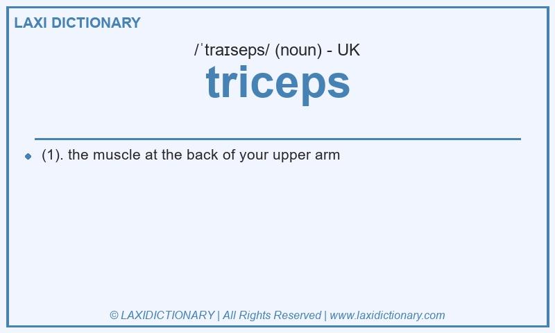 Definition triceps in British English