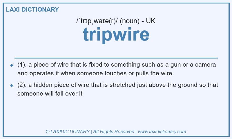 Definition tripwire in British English