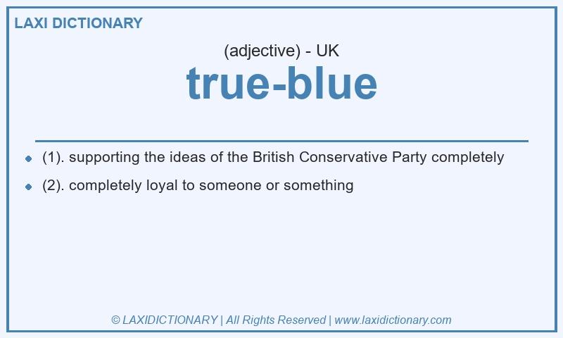 Definition true-blue in British English